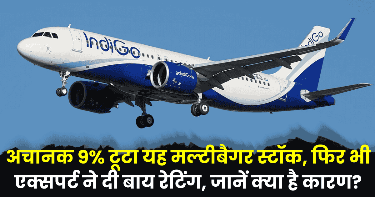 Indigo Share Price